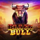 Black Bull