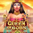 Queen of Gods