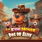 The Dog House – Dog or Alive