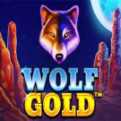 Wolf Gold